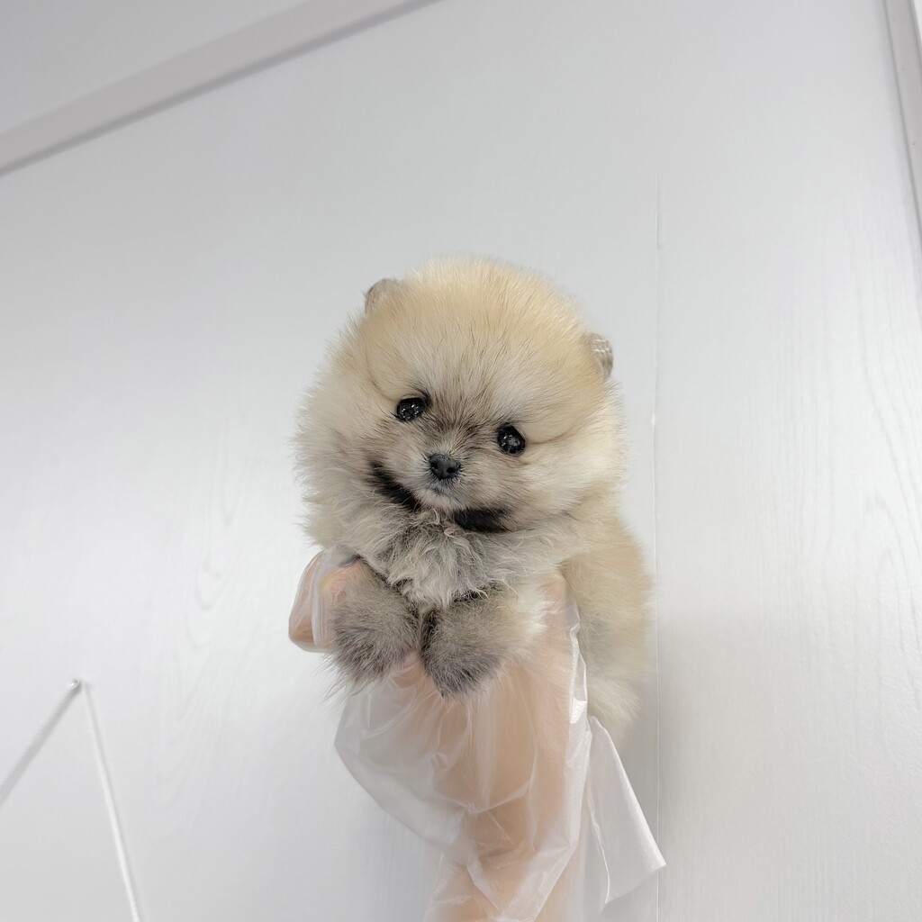 Ȯ�� �̹���