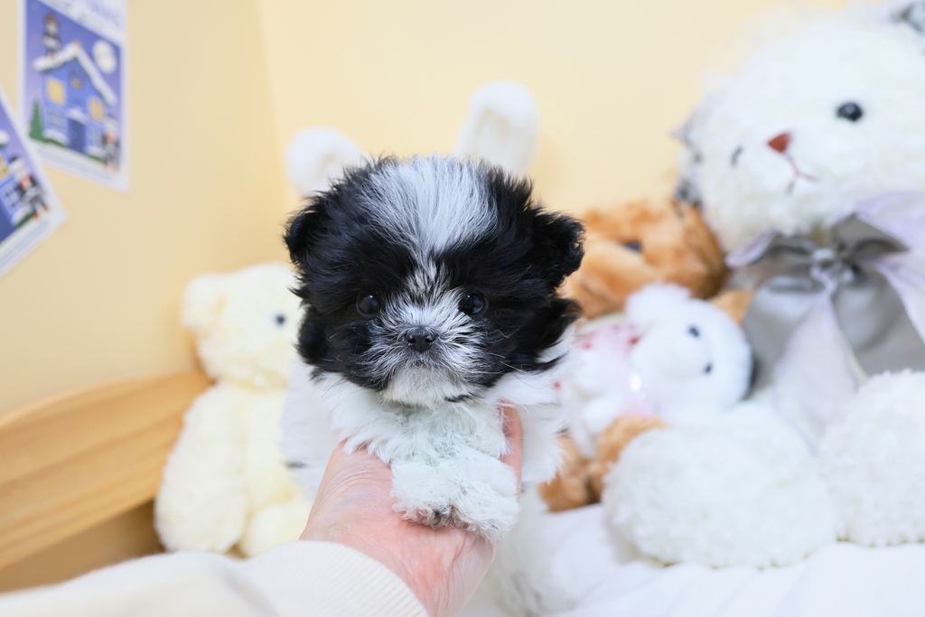 Ȯ�� �̹���