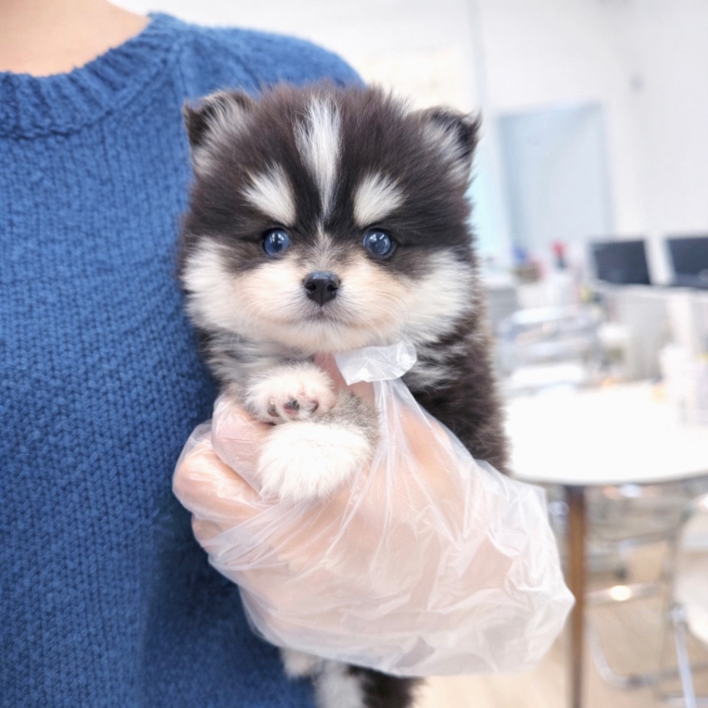 Ȯ�� �̹���