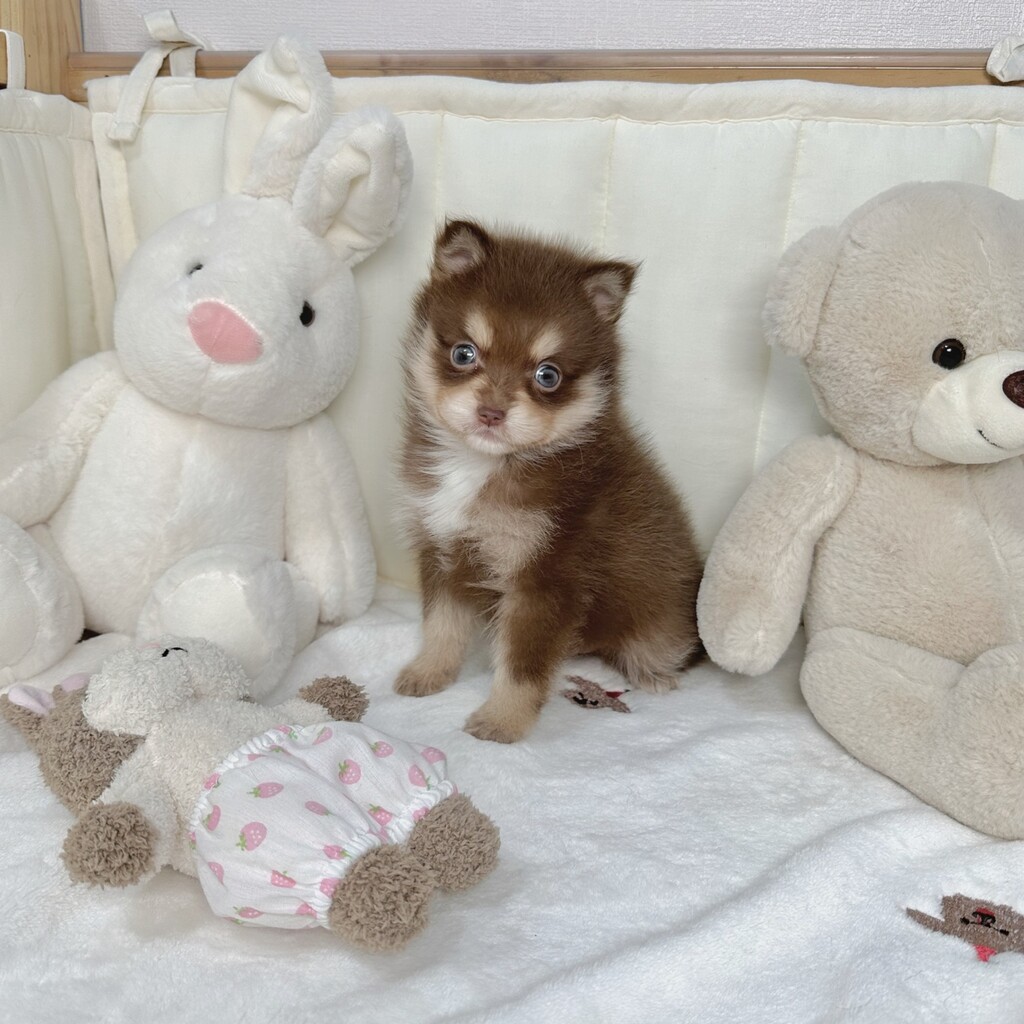 Ȯ�� �̹���