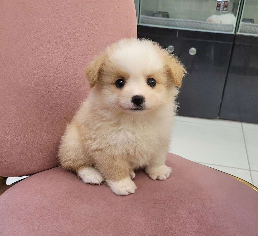 Ȯ�� �̹���