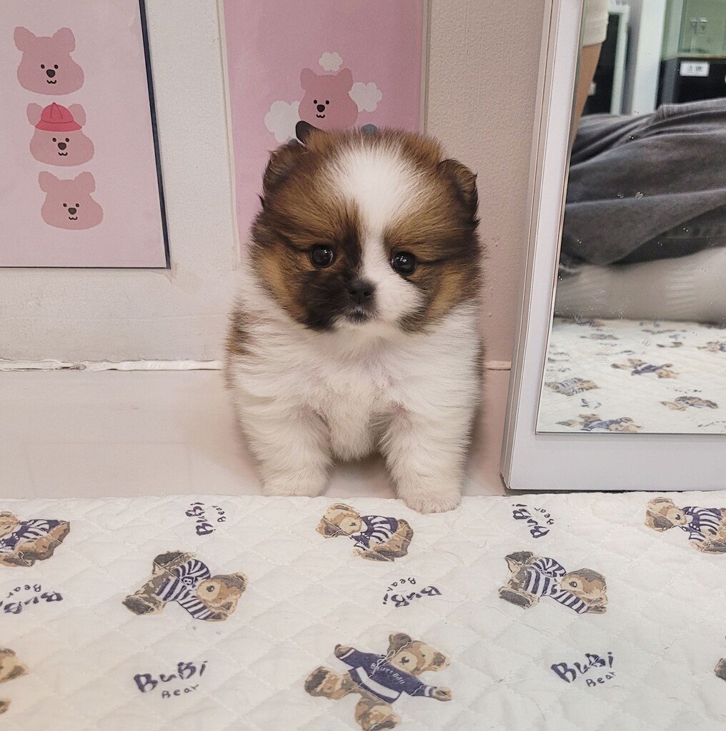 Ȯ�� �̹���