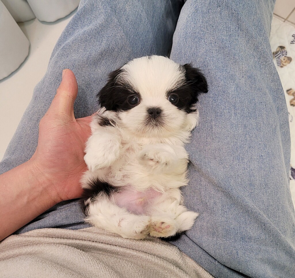 Ȯ�� �̹���