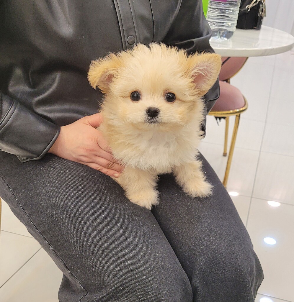 Ȯ�� �̹���