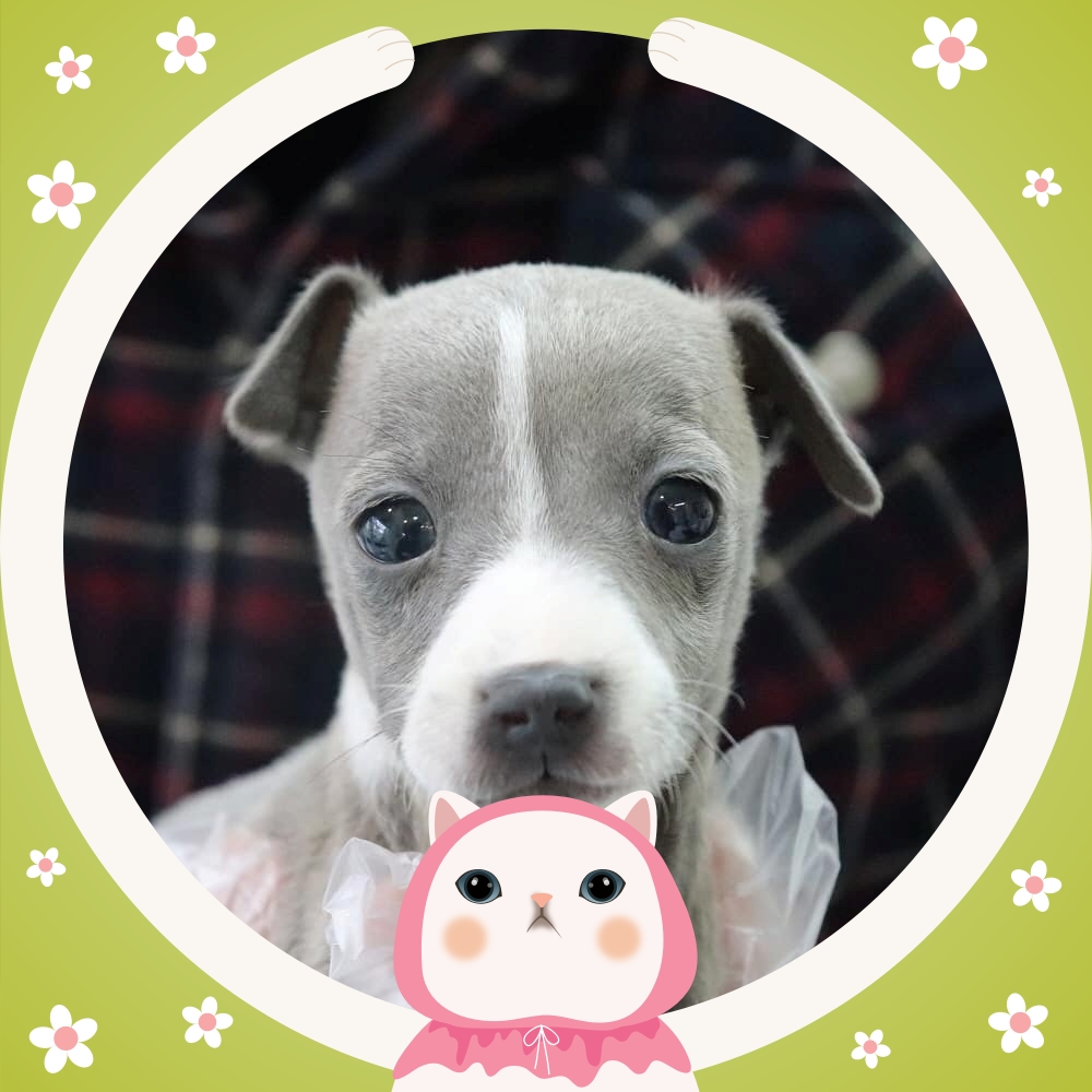 Ȯ�� �̹���