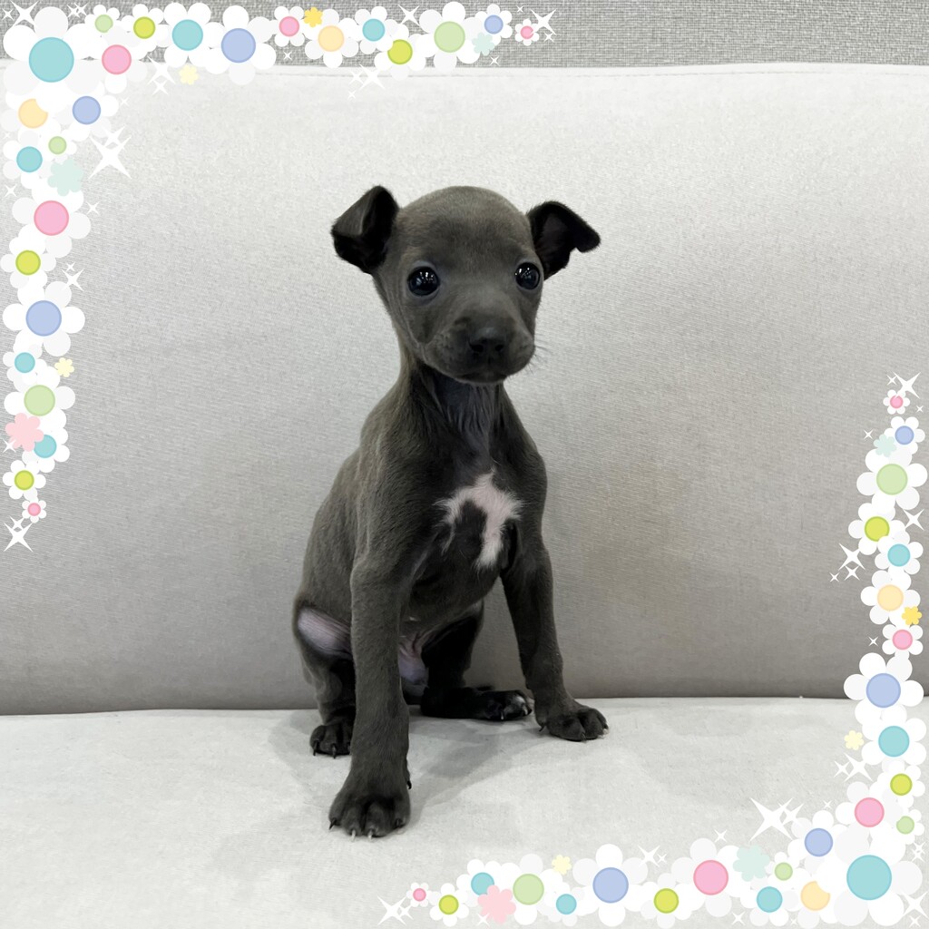 Ȯ�� �̹���