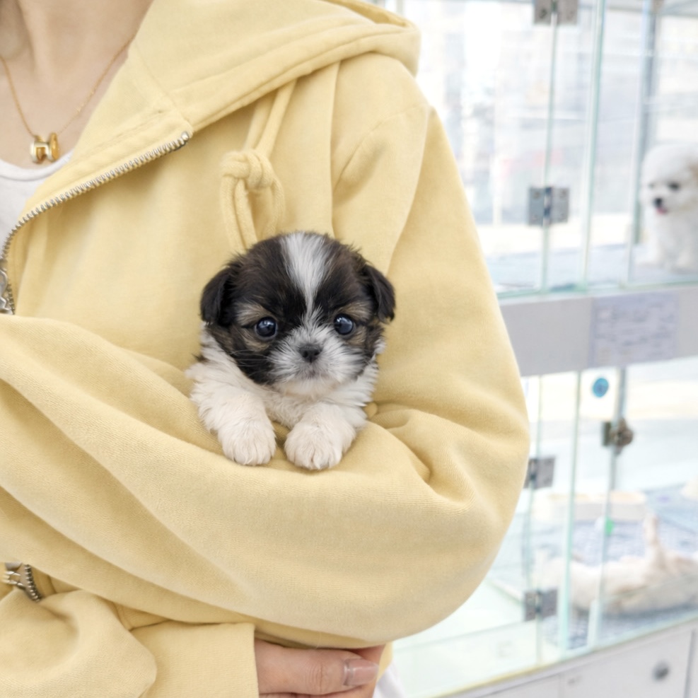 Ȯ�� �̹���