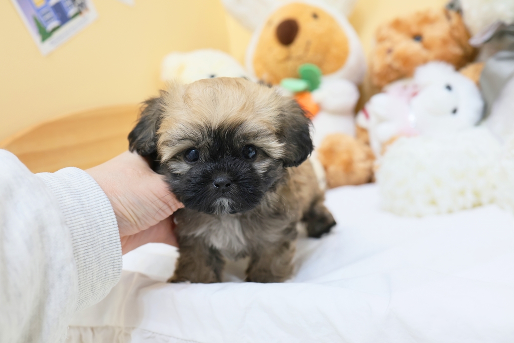 Ȯ�� �̹���