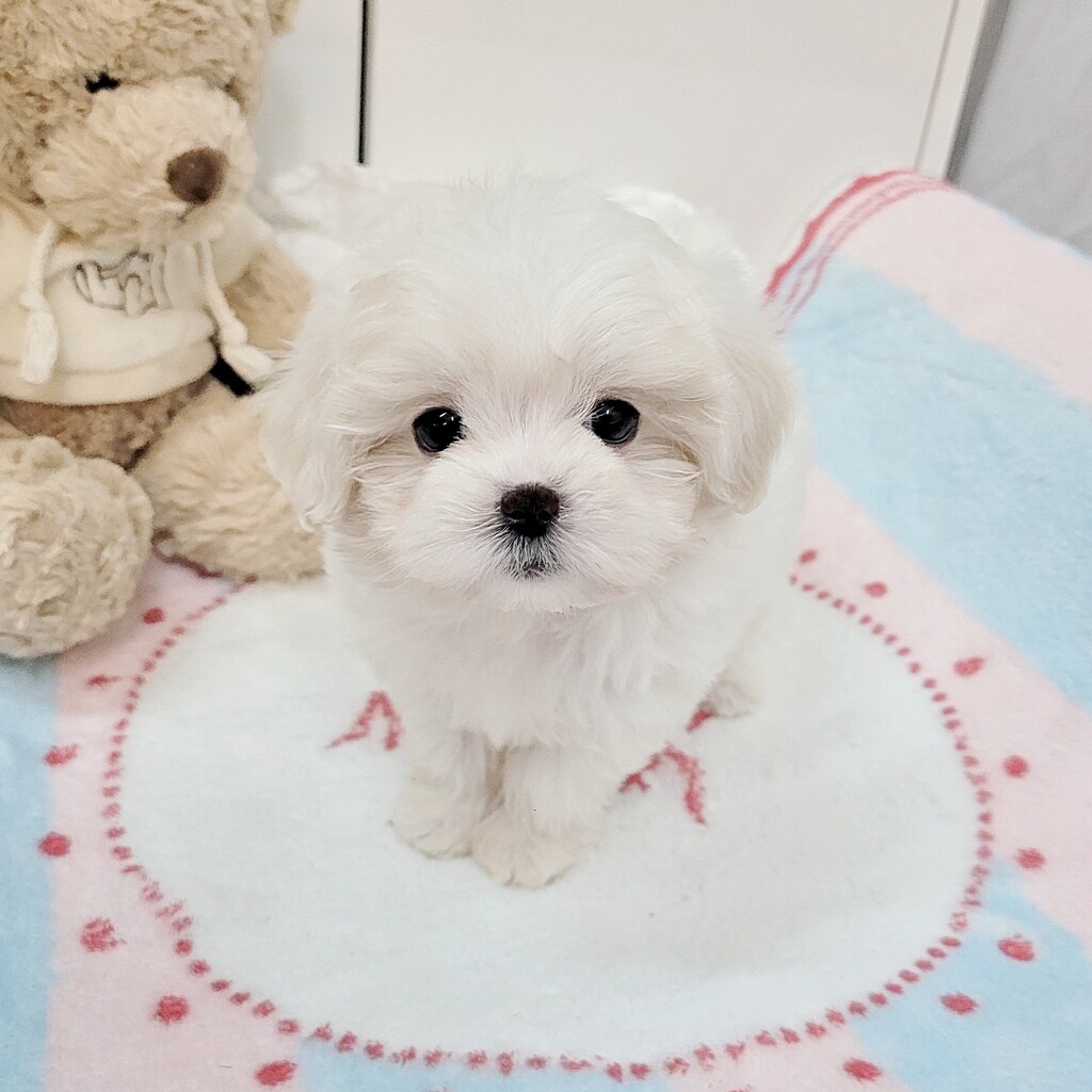 Ȯ�� �̹���