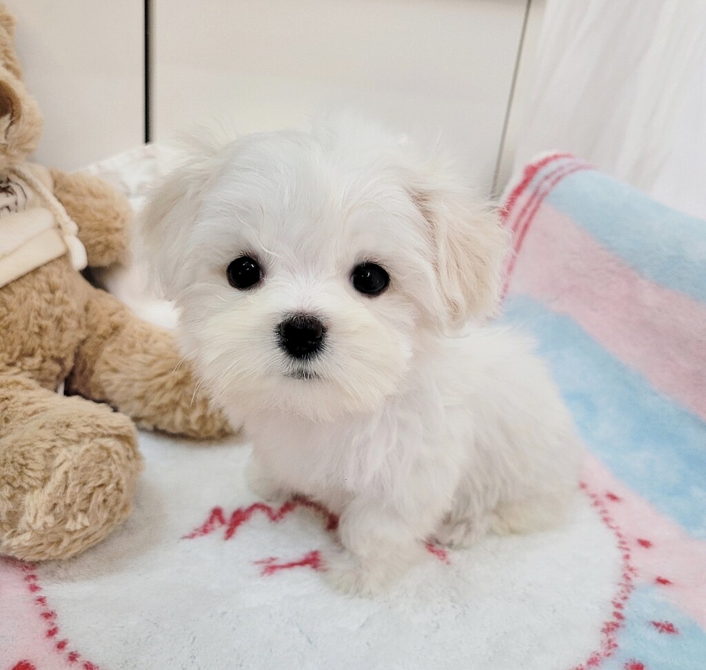 Ȯ�� �̹���