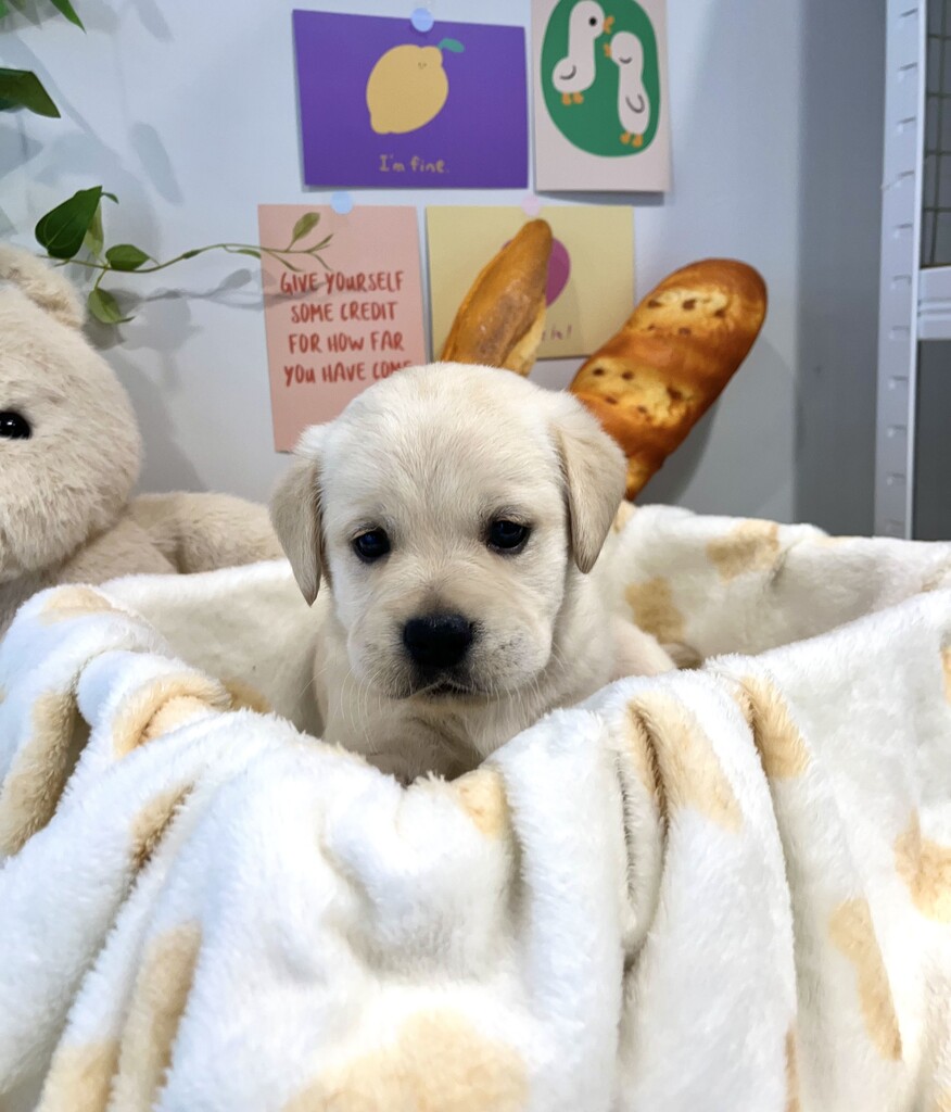 Ȯ�� �̹���