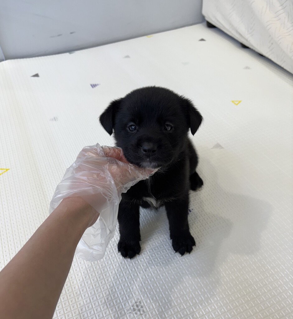 Ȯ�� �̹���