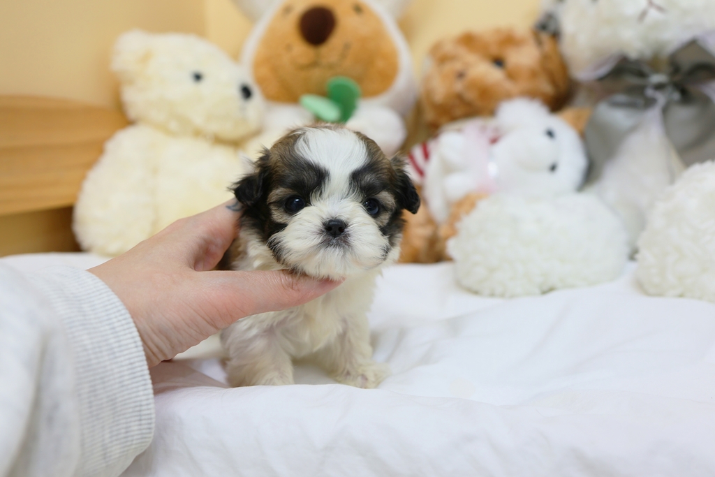 Ȯ�� �̹���