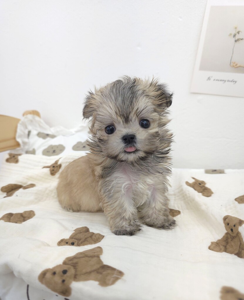 Ȯ�� �̹���