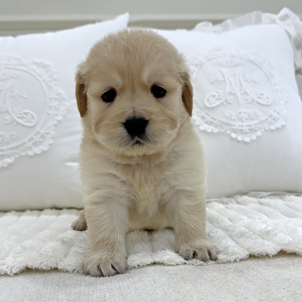 Ȯ�� �̹���