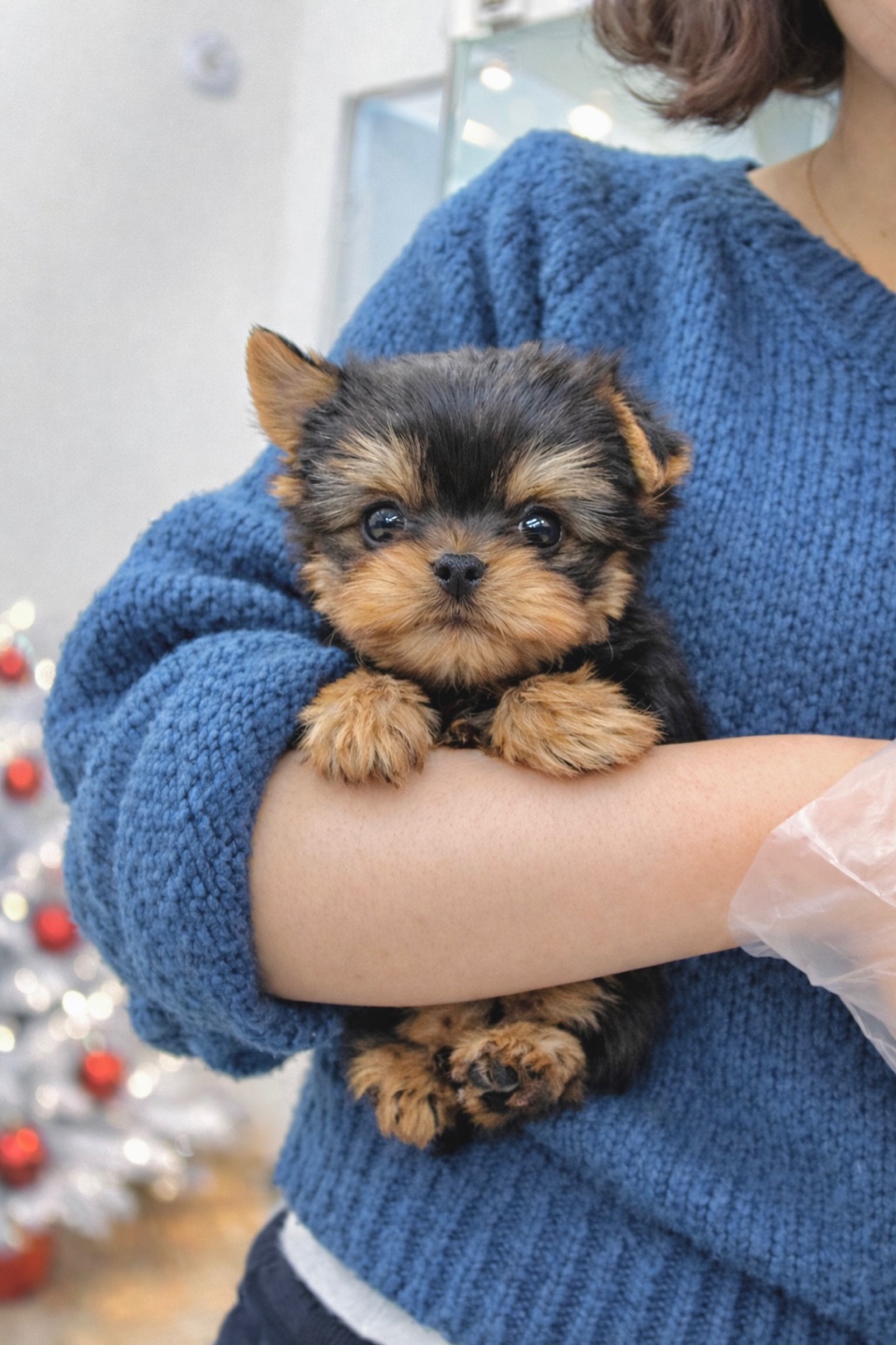 Ȯ�� �̹���