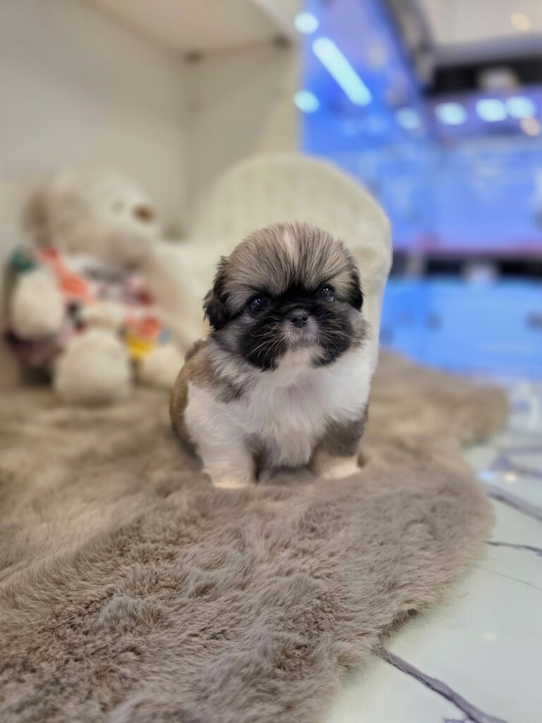 Ȯ�� �̹���