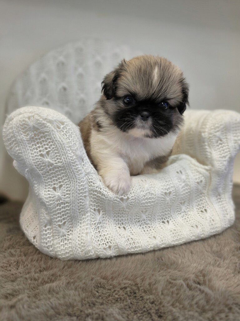 Ȯ�� �̹���