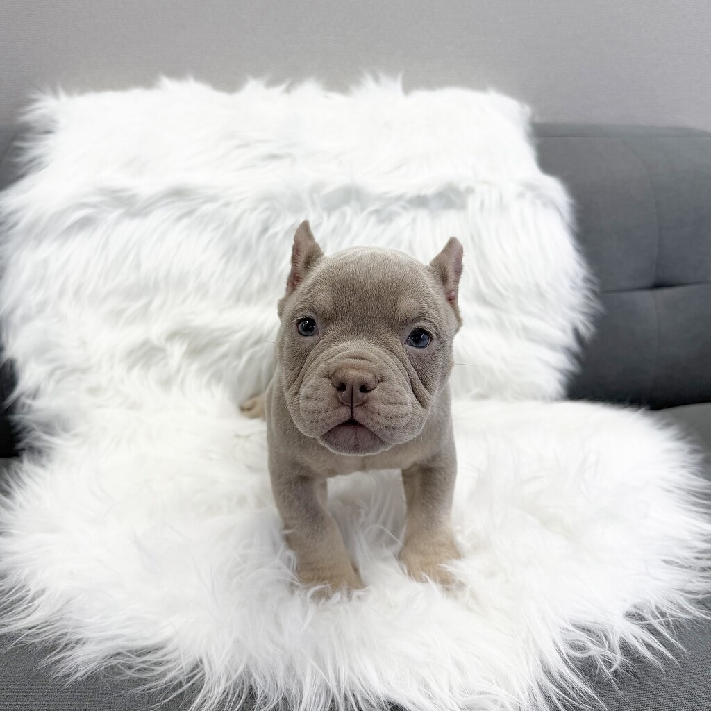 Ȯ�� �̹���