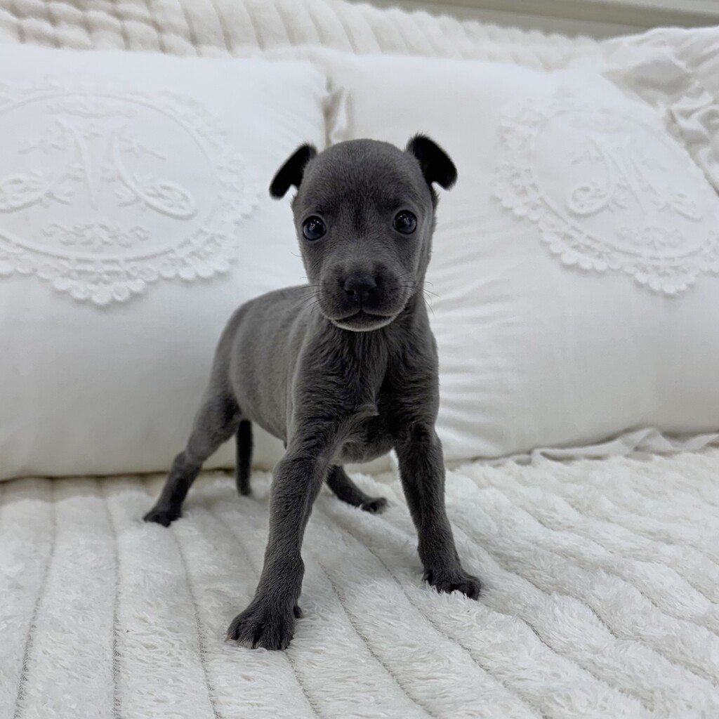 Ȯ�� �̹���