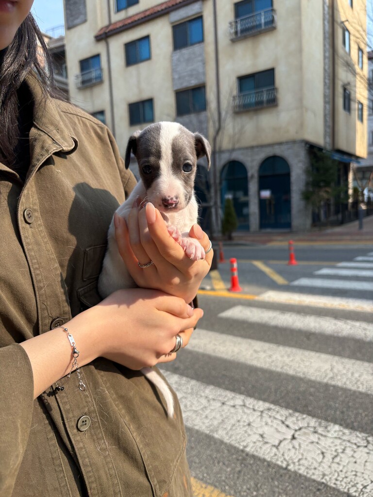 Ȯ�� �̹���