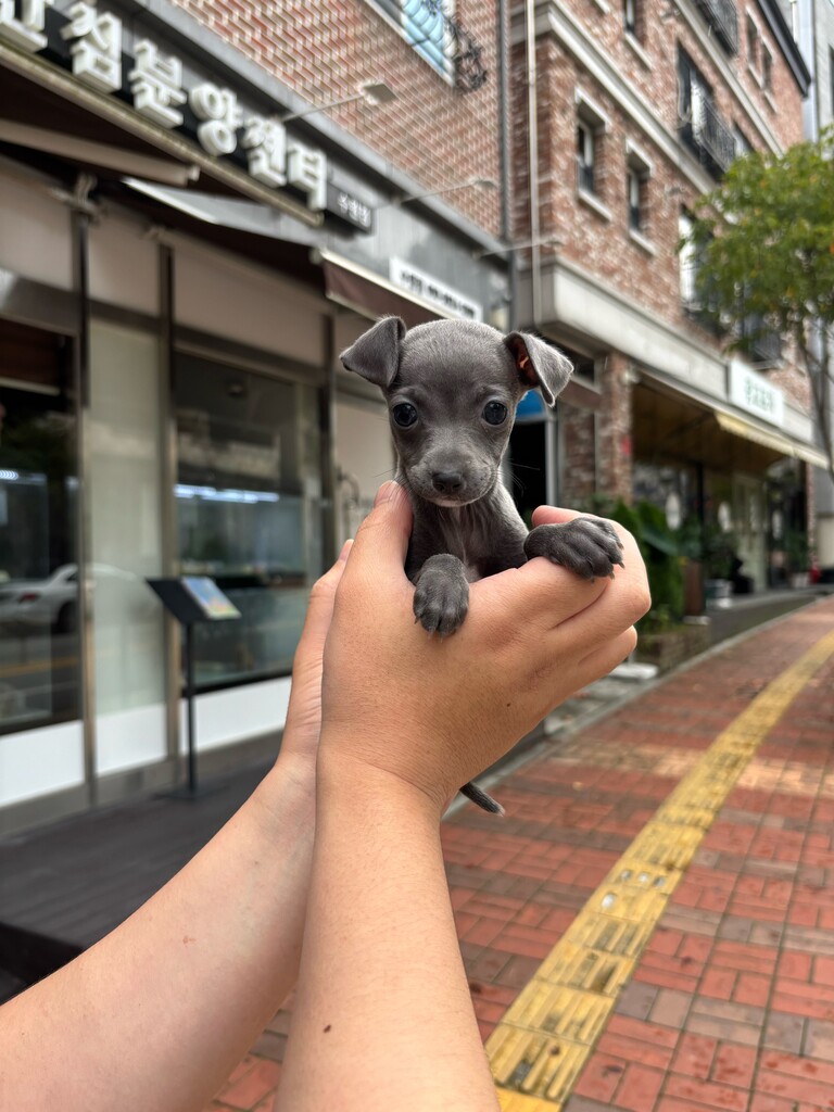 Ȯ�� �̹���