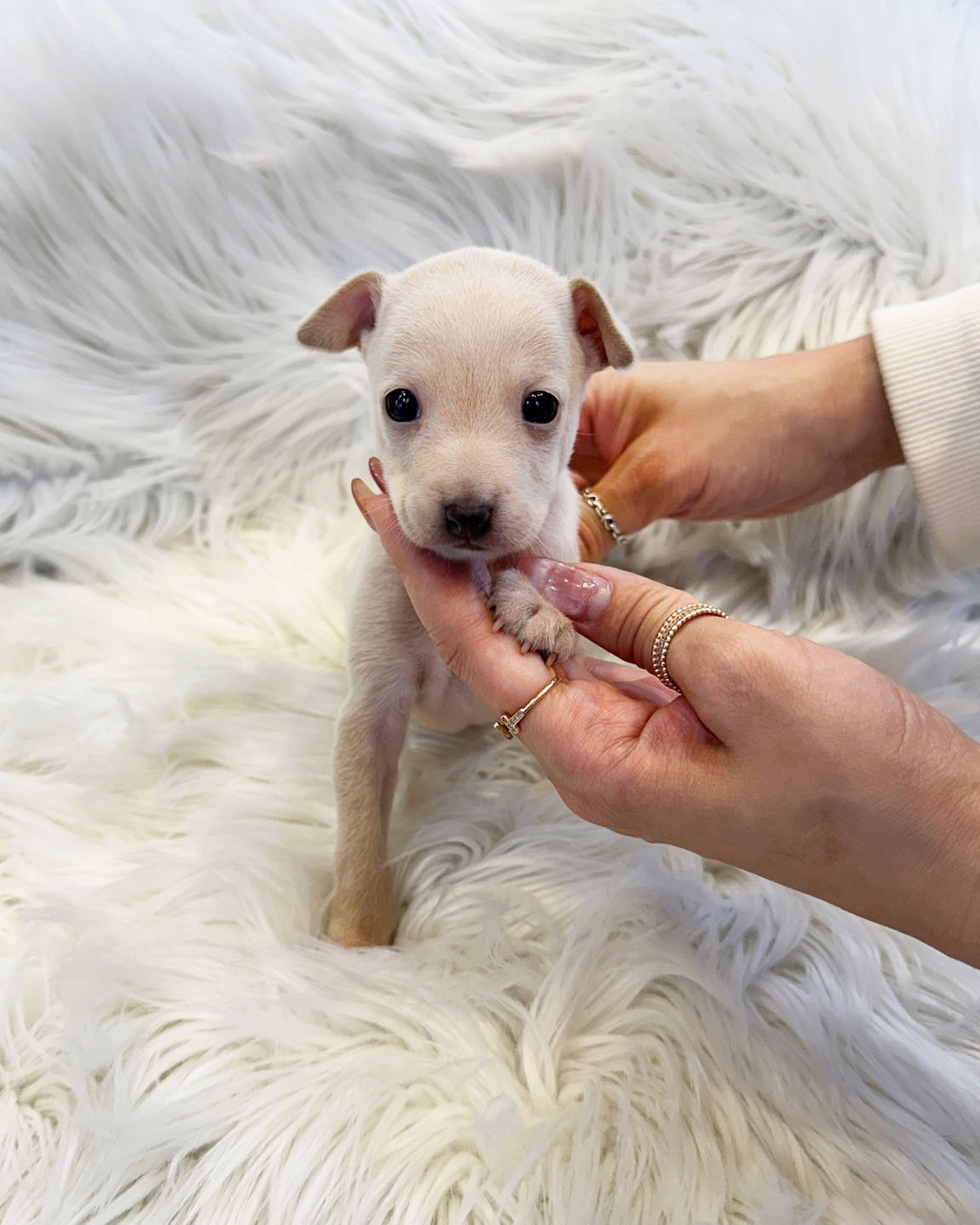 Ȯ�� �̹���