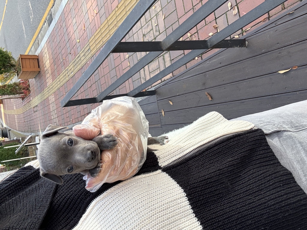 Ȯ�� �̹���