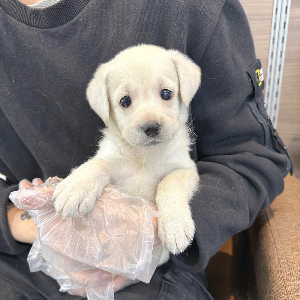 Ȯ�� �̹���