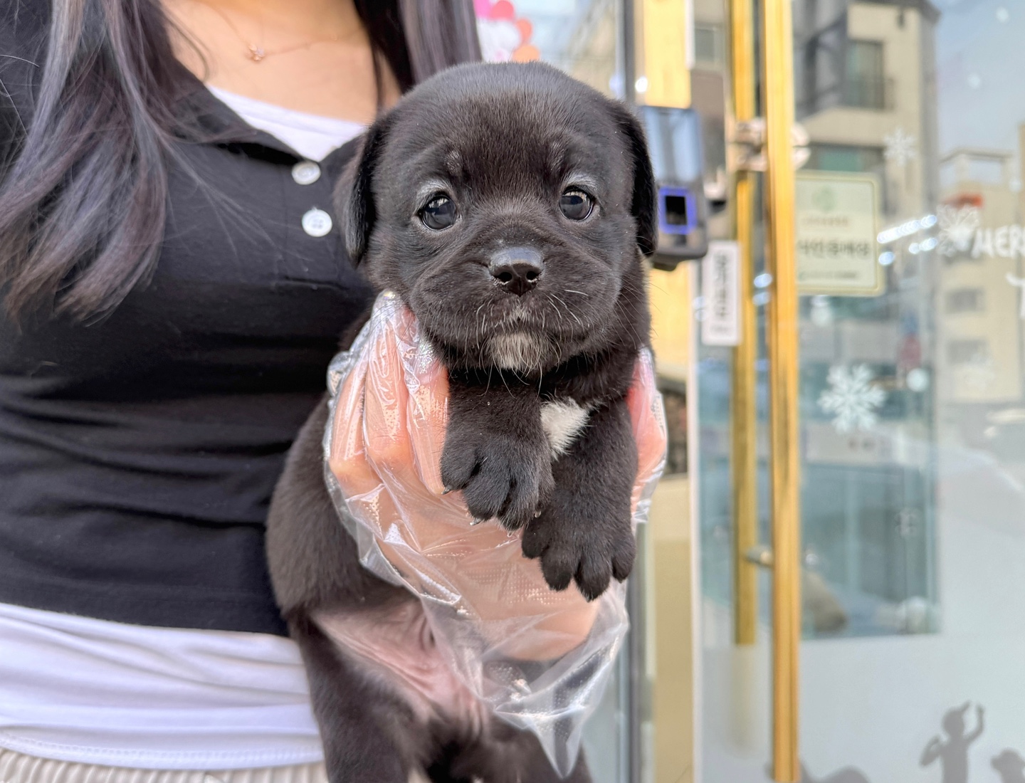 Ȯ�� �̹���