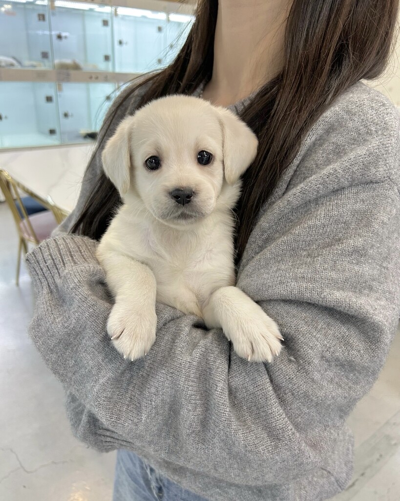 Ȯ�� �̹���