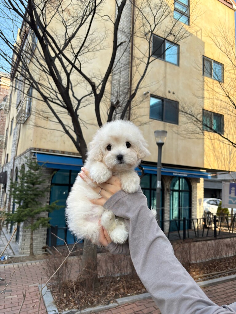 Ȯ�� �̹���