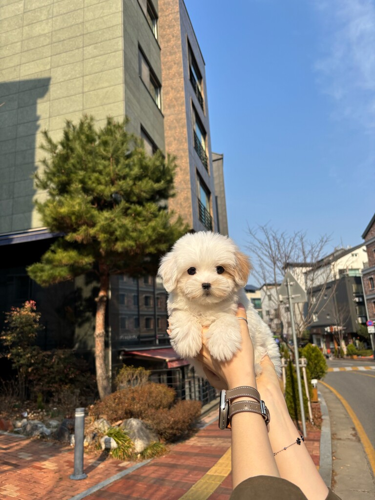 Ȯ�� �̹���