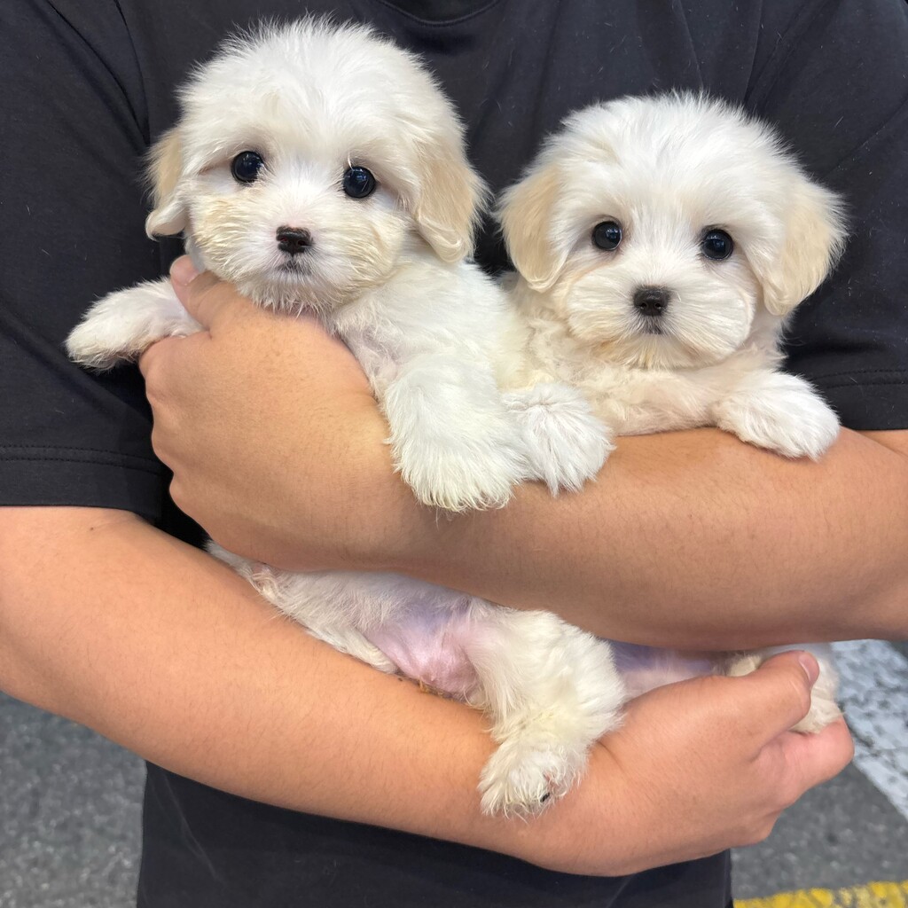 Ȯ�� �̹���