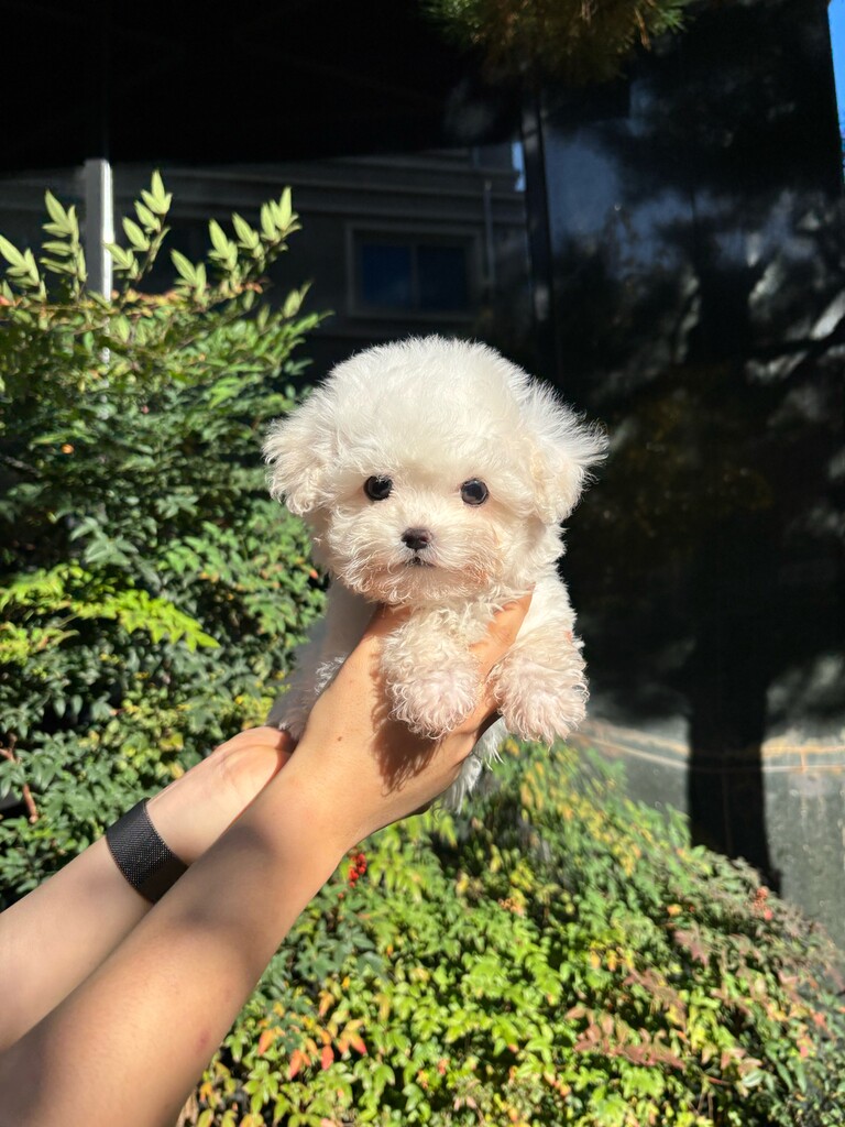 Ȯ�� �̹���