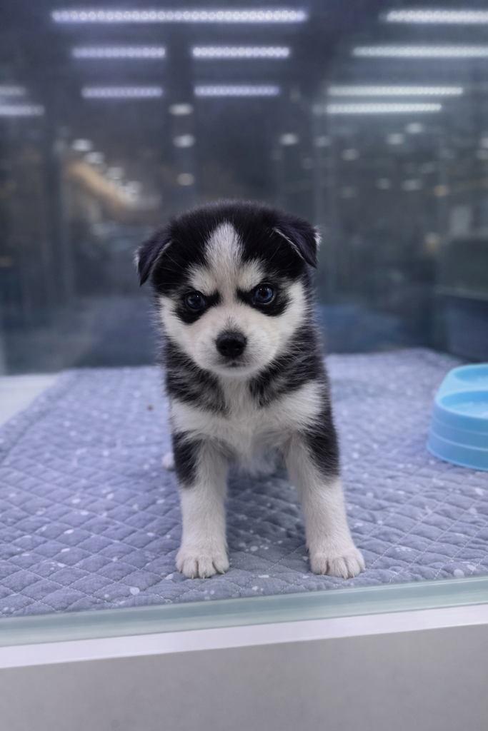 Ȯ�� �̹���