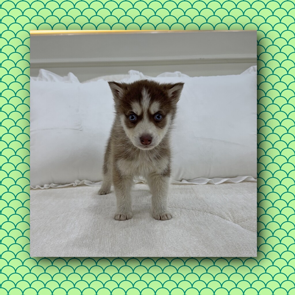 Ȯ�� �̹���