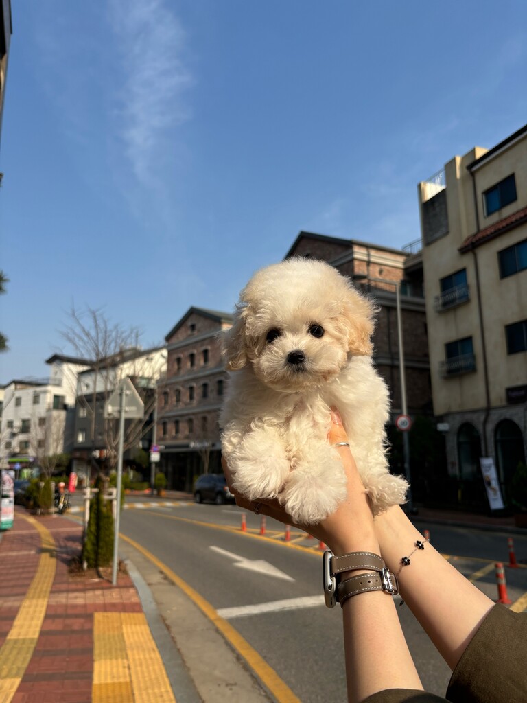 Ȯ�� �̹���