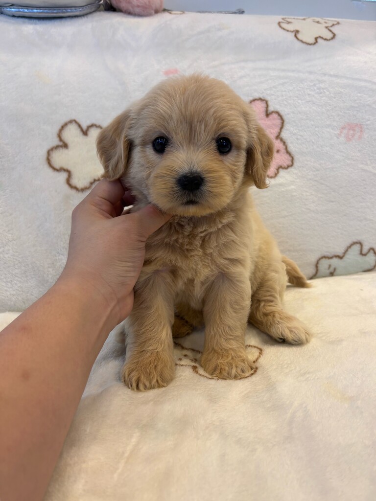 Ȯ�� �̹���