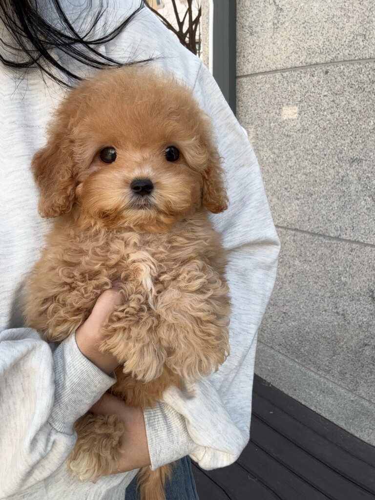 Ȯ�� �̹���