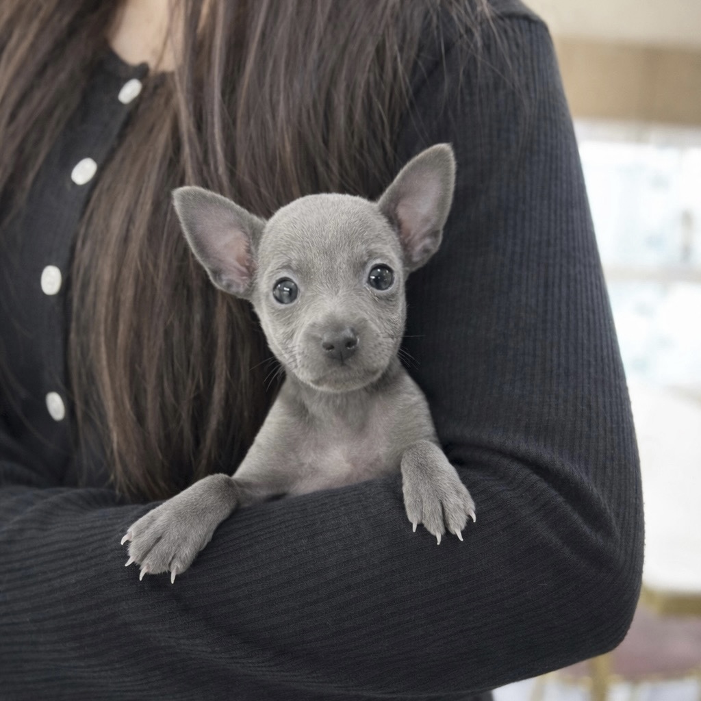 Ȯ�� �̹���