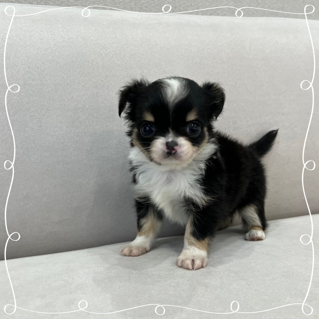 Ȯ�� �̹���