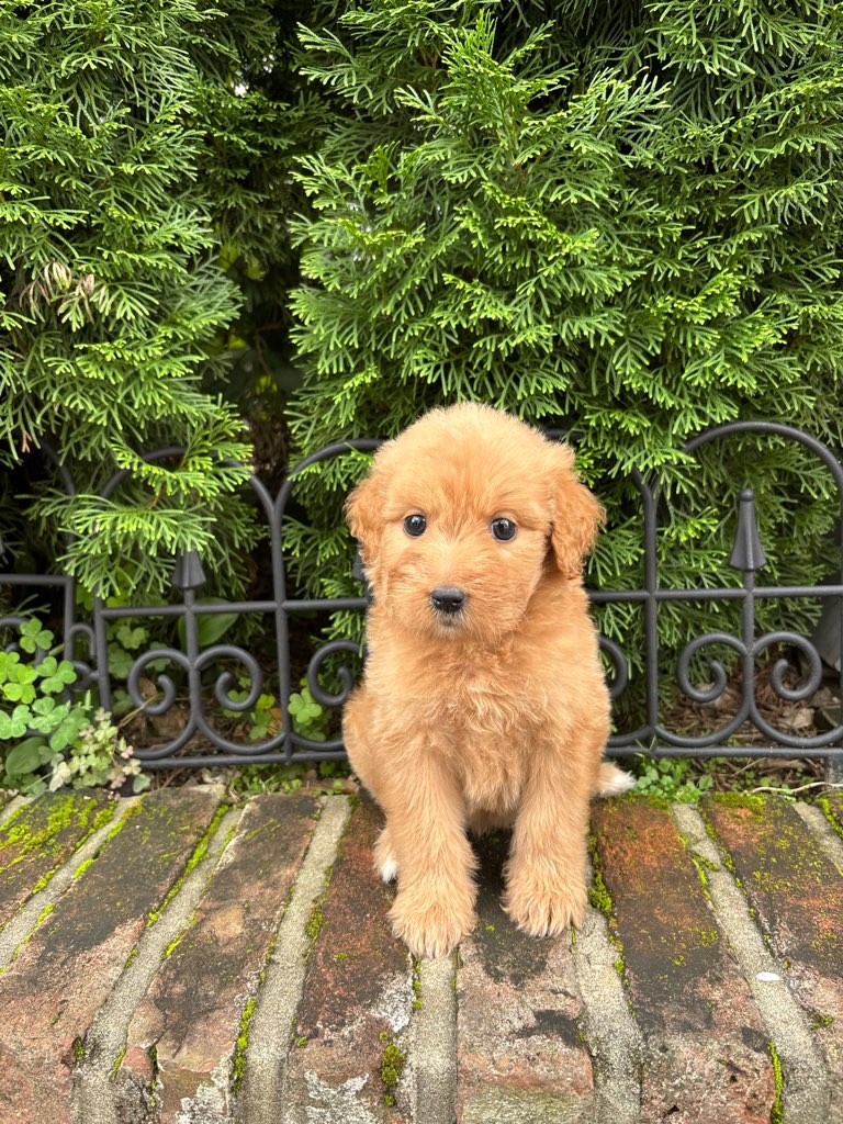 Ȯ�� �̹���