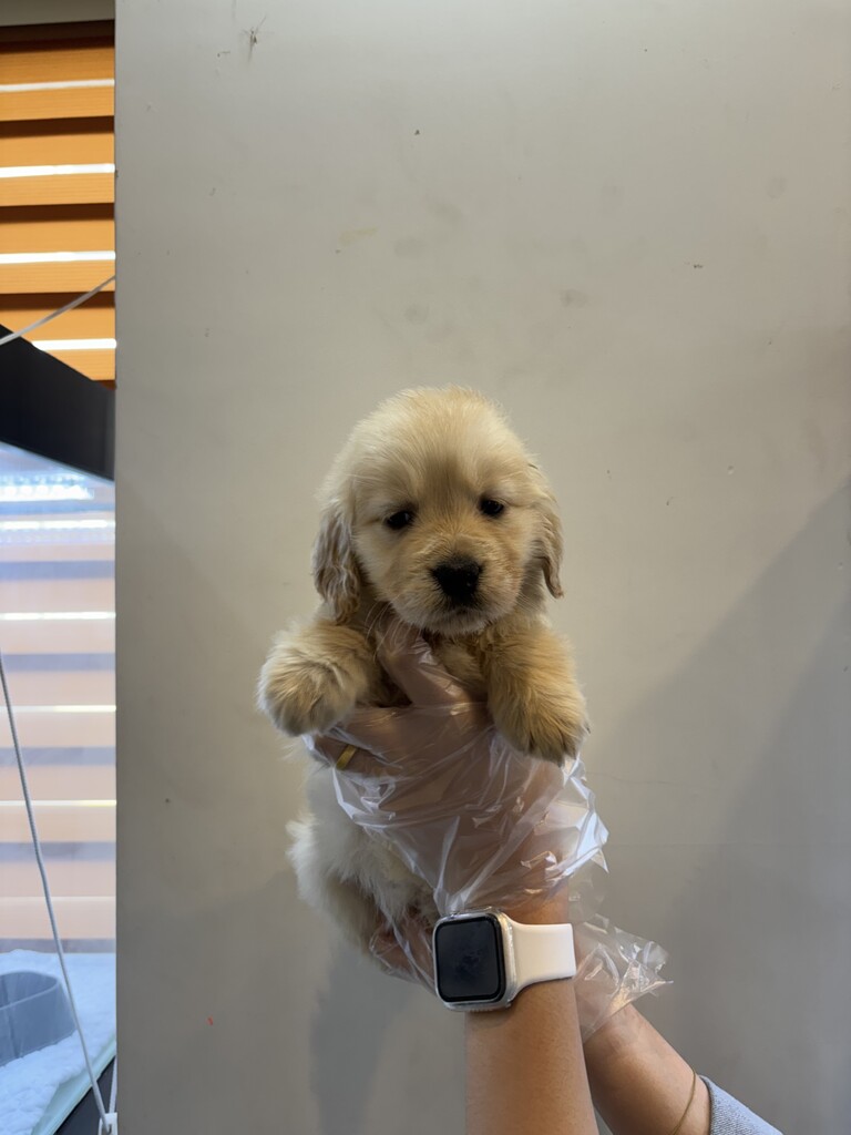 Ȯ�� �̹���