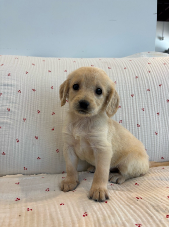 Ȯ�� �̹���