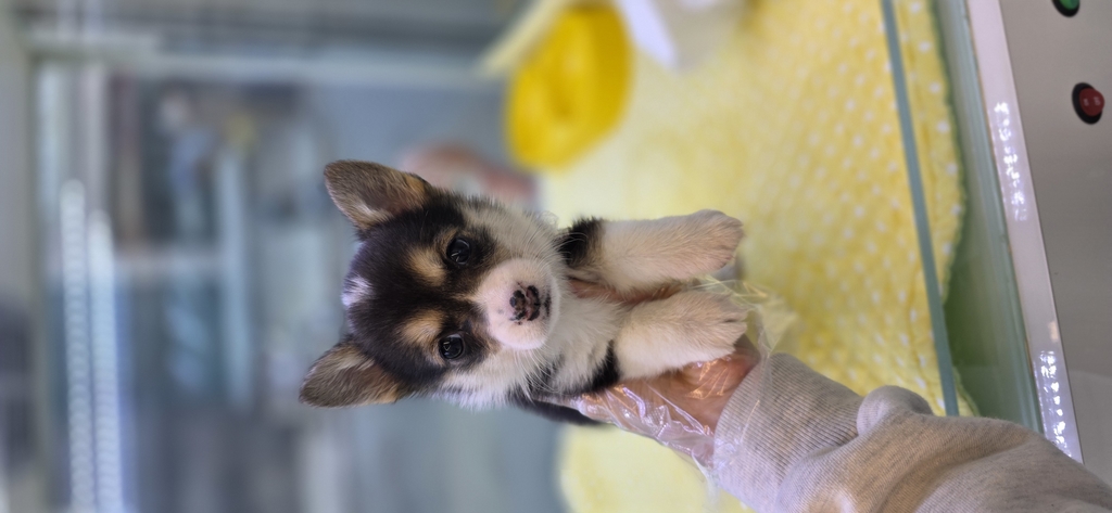 Ȯ�� �̹���