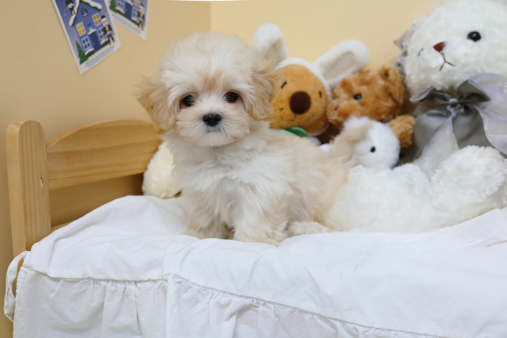 Ȯ�� �̹���