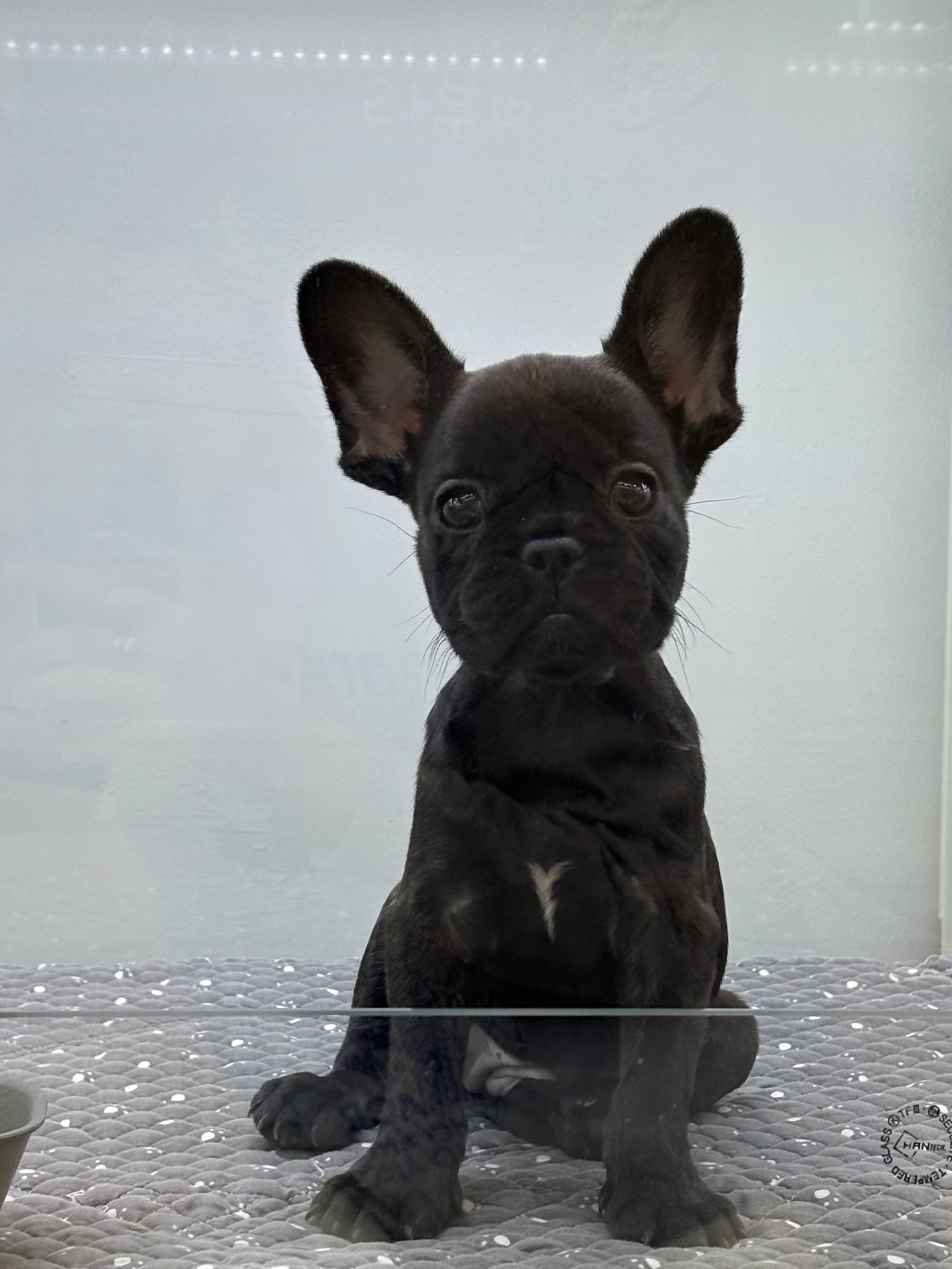 Ȯ�� �̹���