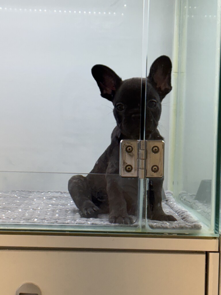 Ȯ�� �̹���