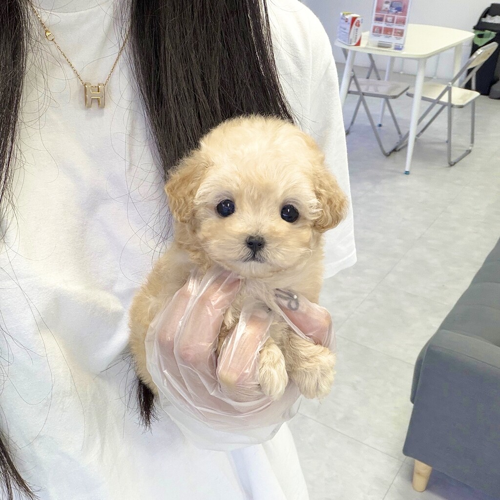 Ȯ�� �̹���